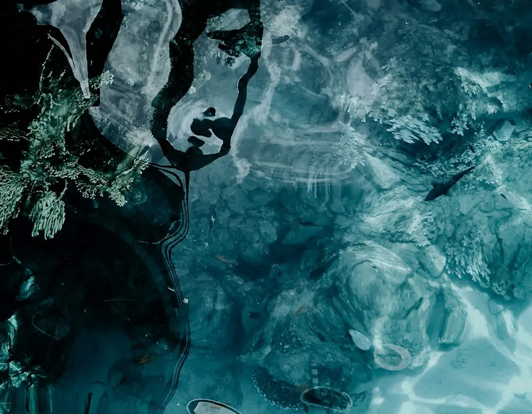 Image of a frozen lake in the winter with ice that is starting to break into pieces