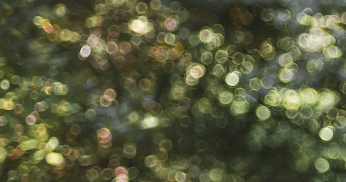 Abstract image of blurred sunlight filtering through the trees